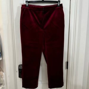 Express Editor Straight Super High Rise Velvet Pants in 14S